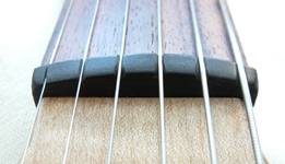 Bowable Fretless Baritone