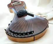 Bowable Fretless Baritone