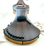 Bowable Fretless Baritone