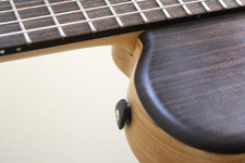 The Nylon String Baritone