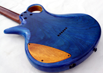 The Blue Guitar