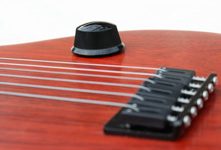 Fretless Baritone