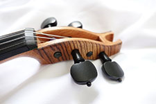 Electric Violin