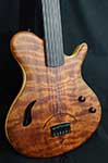 Fretless hollowbody