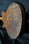 Fretless hollowbody